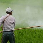 CM Sukhu Boosts Farmer Payouts