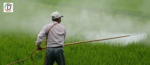 CM Sukhu Boosts Farmer Payouts