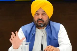 India's Bold Bet New Competition to Boost Dairy Productivity