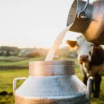 India's Dairy Lobby Blocks Free Trade Deals Globally