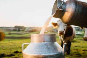 India's Dairy Lobby Blocks Free Trade Deals Globally