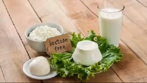 India’s Dairy Secret 74 Can’t Digest Milk The $15.5B Opportunity