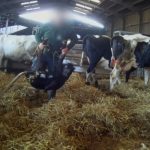 Kashmir Dairy Boom 4,224 New Units Fuel Milk Production