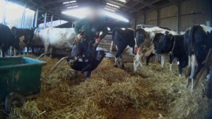 Kashmir Dairy Boom 4,224 New Units Fuel Milk Production