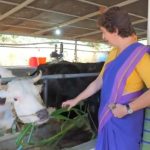 Kerala Dairy Farmers Face Crisis Political Leader Pledges Help