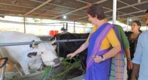 Kerala Dairy Farmers Face Crisis Political Leader Pledges Help