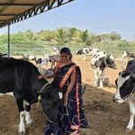 Project Ksheersagar 55 Milk Boost for 12,000 Indian Farmers