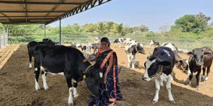 Project Ksheersagar 55 Milk Boost for 12,000 Indian Farmers