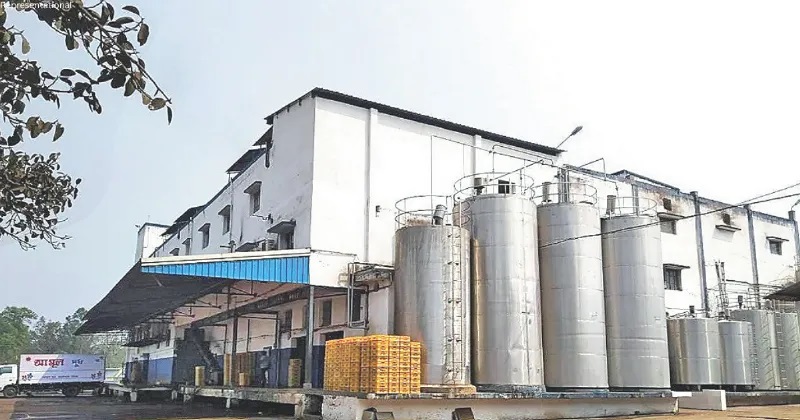 100 Billion Leap Rajasthan's Dairy Sector Hits New High