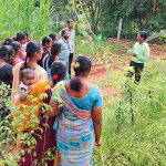 25 Days to Dairy CEO: TN’s Plan to End Rural Unemployment 2 25 Days to Dairy CEO TN’s Plan to End Rural Unemployment