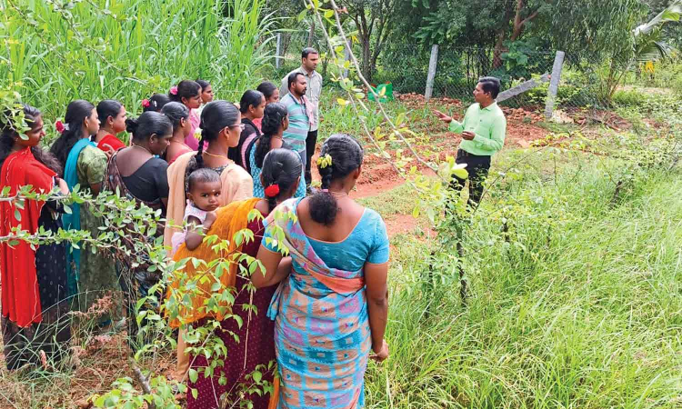 25 Days to Dairy CEO TN’s Plan to End Rural Unemployment