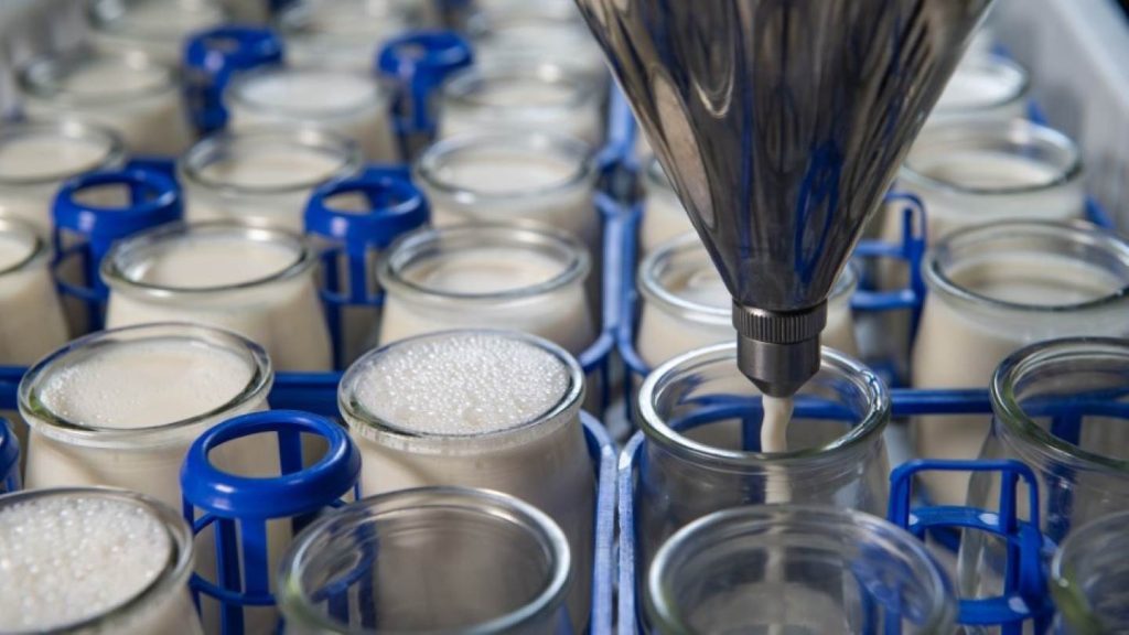 Automation & AI Engineering Dairy's Future in India