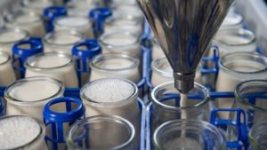 Automation & AI Engineering Dairy's Future in India