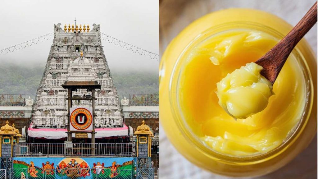 Dairy Scam 6.8 Million KG of Fake Ghee Duped Tirupati Trust fraud