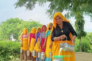 India's Dairy Revolution: 5 Pillars Transforming 200,000 Farms