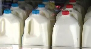 India's Dairy Tsunami Godrej Projects Massive Demand Surge by FY26