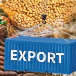 India’s Farm Exports Buck Slump—But Fragility Warning Issued 2 India’s Farm Exports Buck Slump—But Fragility Warning Issued