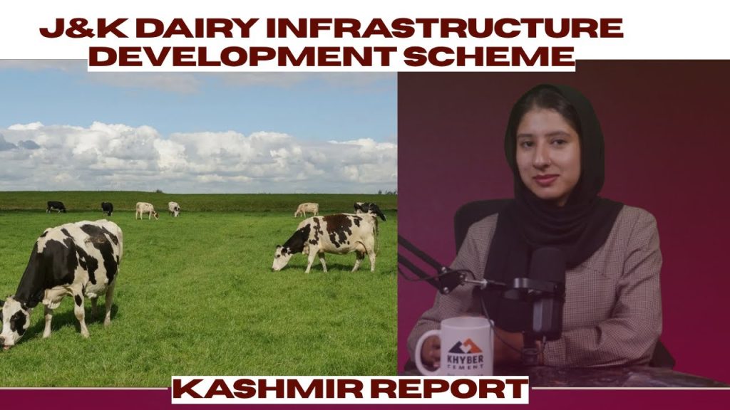 Kashmir’s $1.34B Dairy Plan Boosting Farmers & Self-Sufficiency