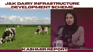Kashmir’s $1.34B Dairy Plan Boosting Farmers & Self-Sufficiency
