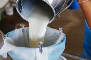Kerala Milk Price Shock