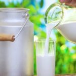 Milk Shock: Why Indian Daily Habit Defies Global Beverage Trends 1 Milk Shock Why Indian Daily Habit Defies Global Beverage Trends