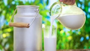 Milk Shock Why Indian Daily Habit Defies Global Beverage Trends