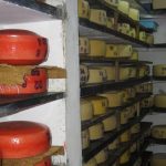 Mozzarella Surge: India’s Dairy Exports Rocketed Over 1200% 2 Mozzarella Surge India’s Dairy Exports Rocketed Over 1200