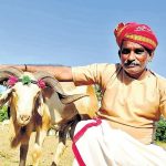 Veterinary Doctor Ditches Clinics for Camera Digitalizing Dairy