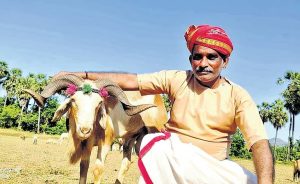 Veterinary Doctor Ditches Clinics for Camera Digitalizing Dairy