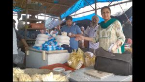 Half of Punjab's Paneer Market Fails Standards Dairy Fraud Crisis