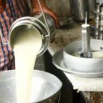 India–NZ FTA Opens Re-Export Route for Dairy Inputs 2 India–NZ FTA Opens Re-Export Route for Dairy Inputs