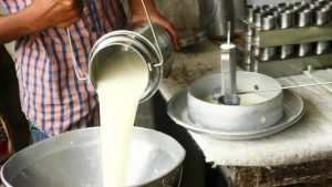 India–NZ FTA Opens Re-Export Route for Dairy Inputs