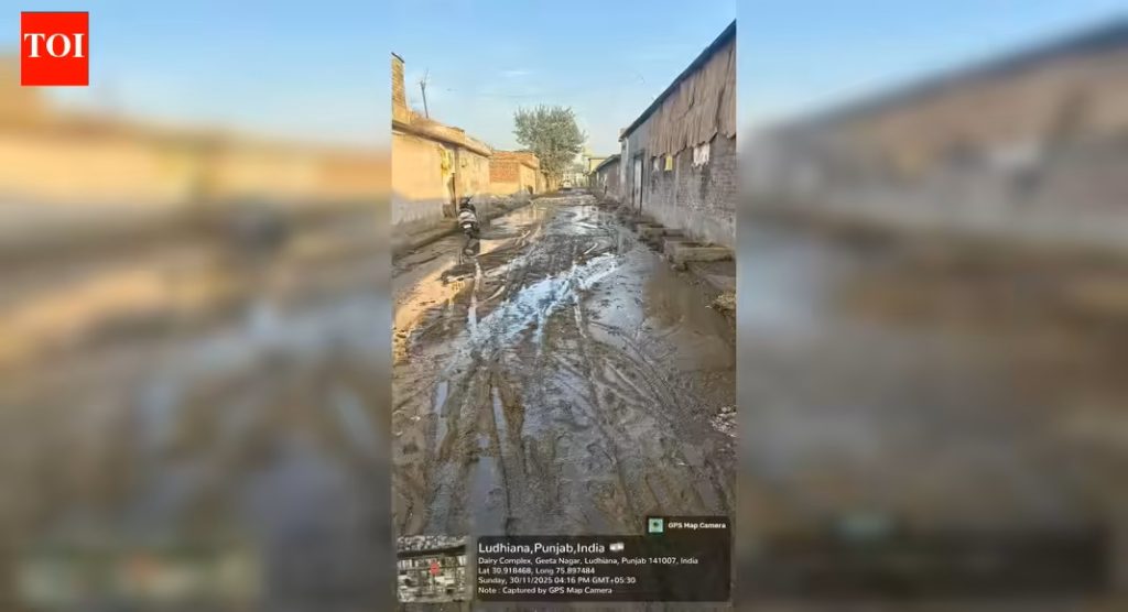 Muck Crisis Engulfs Dairy Hub Is Sanitation Failing Supply