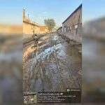 Muck Crisis Engulfs Dairy Hub Is Sanitation Failing Supply