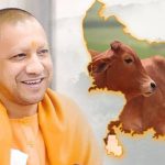 Uttar Pradesh's 50% Subsidy Fuels Indigenous Dairy Investment Boom 1 Uttar Pradesh's 50% Subsidy Fuels Indigenous Dairy Investment Boom