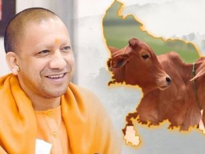 Uttar Pradesh's 50% Subsidy Fuels Indigenous Dairy Investment Boom