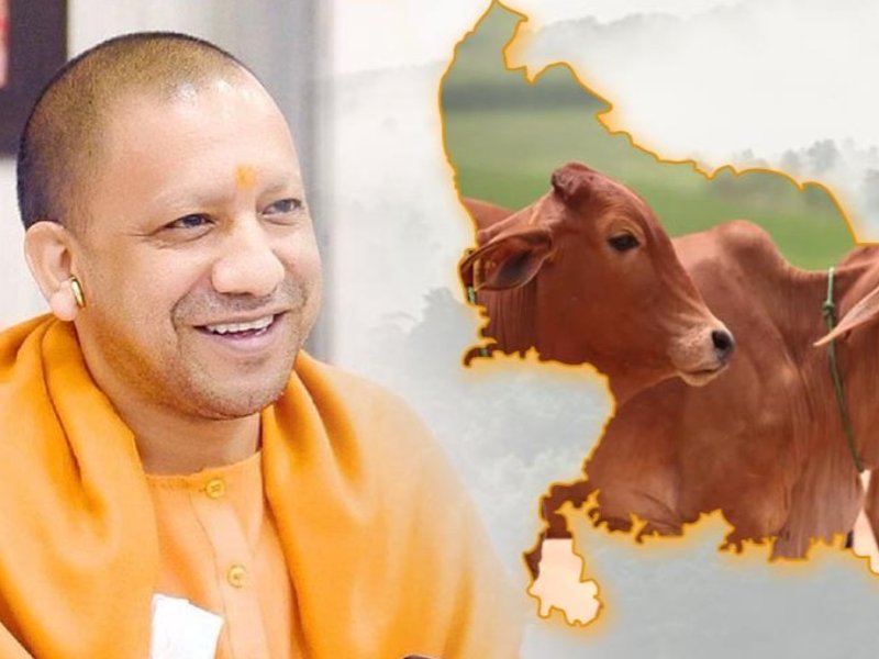 Uttar Pradesh's 50% Subsidy Fuels Indigenous Dairy Investment Boom