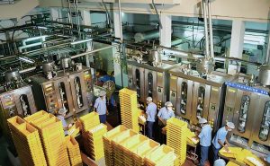 West Bengal Ignites Dairy Growth with Massive New Plant