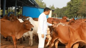 Ananda Dairy’s Big Growth Plan to Hit 10K Cr