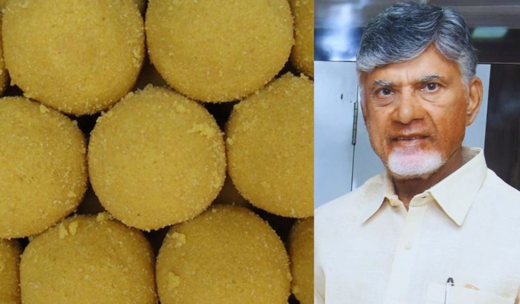 CBI Clears Tirupati Laddu Ghee After Beef Tallow Claim