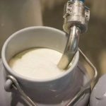 Andhra Pradesh Cracks Down After Milk Disaster Kills 5