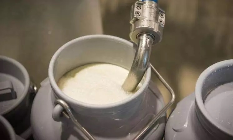 Andhra Pradesh Cracks Down After Milk Disaster Kills 5