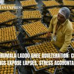 CBI Chargesheet Fake Ghee, No Animal Fat in Tirupati Laddus