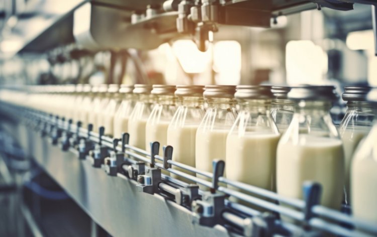 China’s Dairy Revolution From Giant Importer to Emerging Exporter