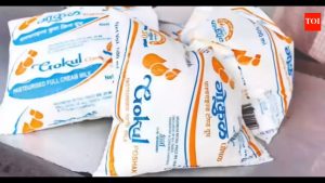 Gokul Dairy Boosts Buffalo Milk Price in Mumbai