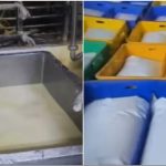 Gujarat Fake Milk Scandal Toxic ‘Milk’ Sold 5 Years