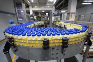 India’s Dairy Quality Crisis Fake Milk and Safety Gaps