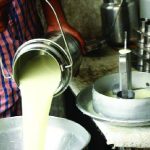 India’s Milk Adulteration Crisis Public Health at Risk