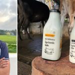 Mysuru Milk Model Pays Farmers 40% Above Market