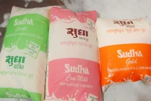 Sudha Dairy Milk Prices Rise Ahead of Holi Fest